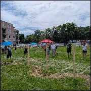 Image description